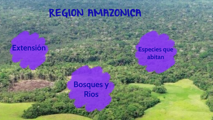 Region Amazonica by Alessandro Negrete on Prezi