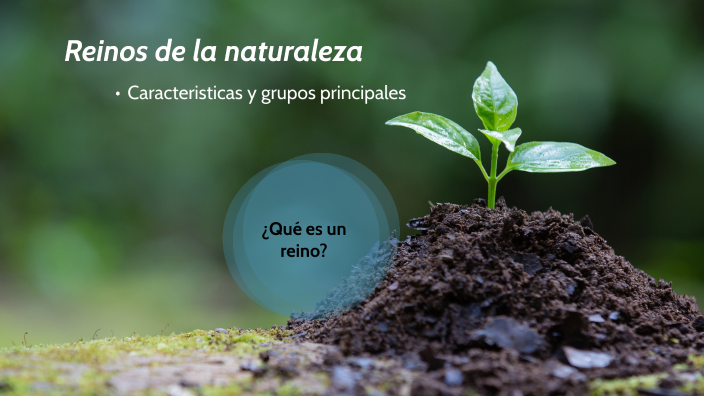 Reinos de la naturaleza by Steven Martinez on Prezi