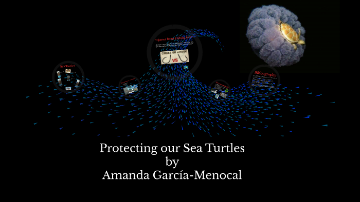 PROTECTING OUR SEA TURTLES by A GM on Prezi