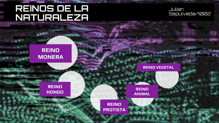 REINOS DE LA NATURALEZA by Julian Sepulveda on Prezi