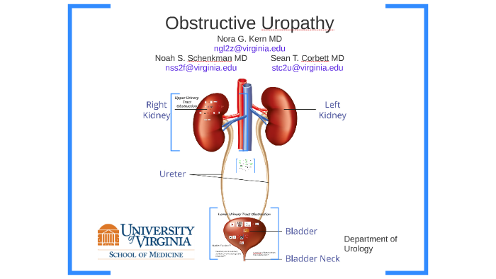 urology-18-obstructive-uropathy-by-dr-wahdan-youtube