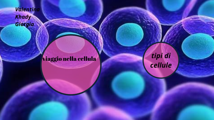 le cellule eucariote e procariote by giorgia sottini on Prezi
