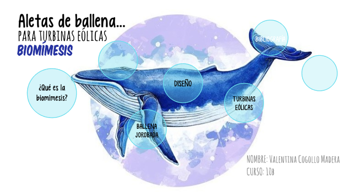 Aletas de ballena...para turbinas eólicas by Vale Cogollo