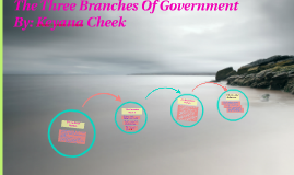 The three branches of government