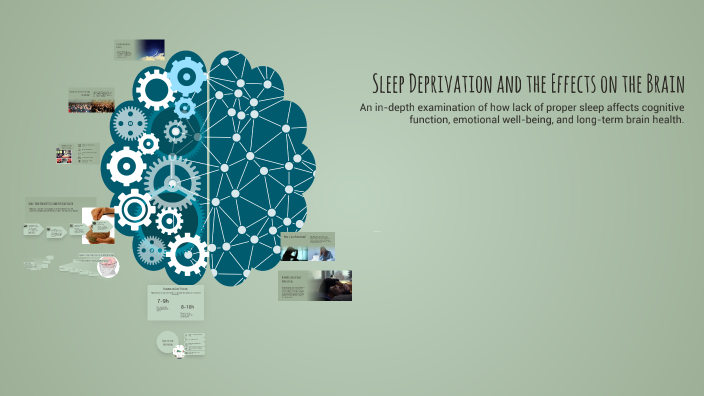 Sleep Deprivation and the Effects on the Brain by tristen wassinger on ...
