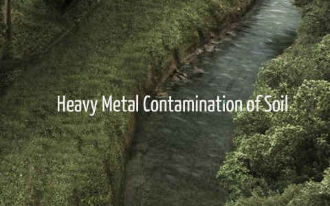 Science Project-Heavy Metal Contamination Of Soil By Eugenia Wong