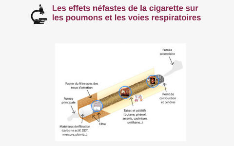 Les effets néfastes de la cigarette sur les poumons et les v by Tommy ...