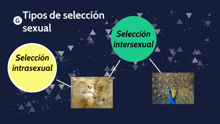 Tipos De Selección Sexual By Maria Pia Cáceres On Prezi 8802