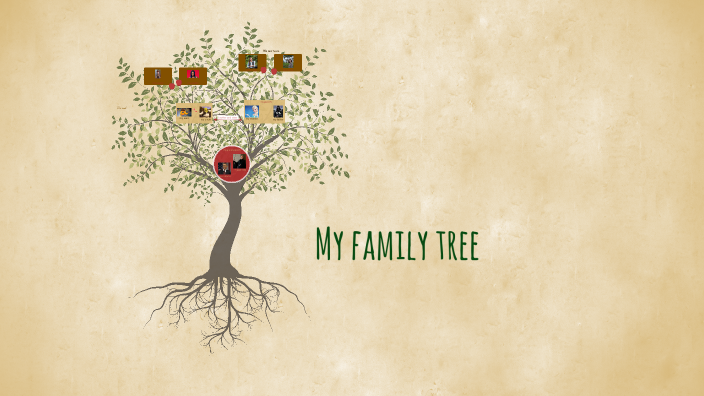 my family tree by T brocard on Prezi