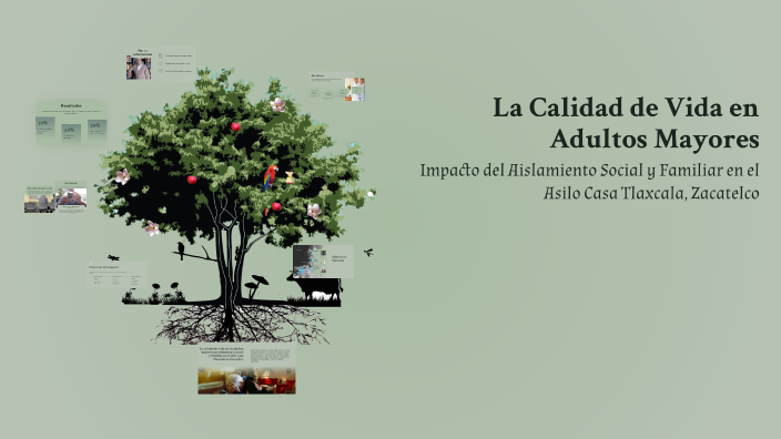 La Calidad de Vida en Adultos Mayores by Monsserrat Hernández on Prezi