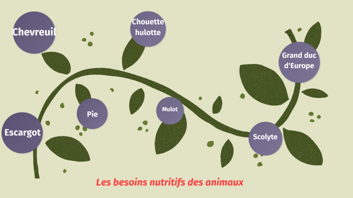 les besoins nutritifs des animaux by maeva breuzin on Prezi