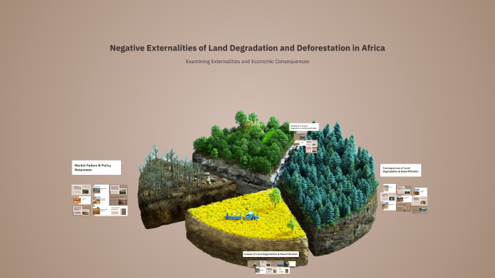 Negative Externalities of Land Degradation and Deforestation in Africa ...