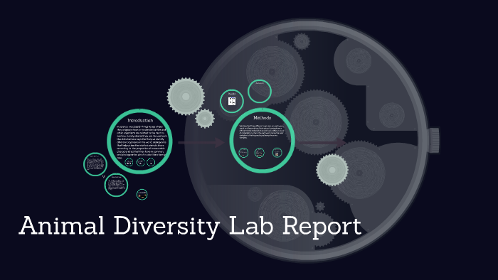 Animal Diversity Lab Report by Danyelle Ingram