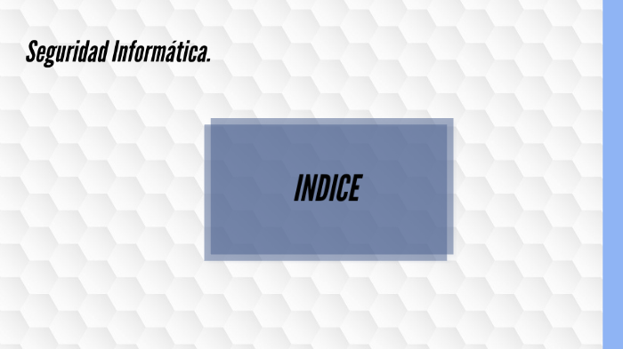 Seguridad Informatica by Lucia Diaz Moreno on Prezi