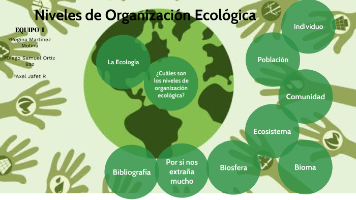 Niveles De Organización Ecológica By Regina Martinez On Prezi