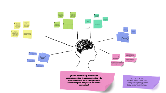 ¿Como se ordena y funciona lo macrocurricular, lo mesocurricular y lo ...