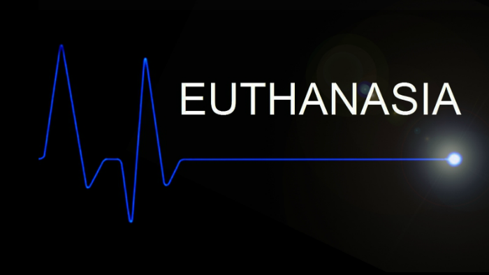 euthanasia in malaysia essay