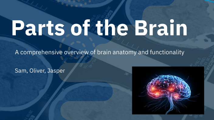 Parts of the Brain by Sam Smith on Prezi
