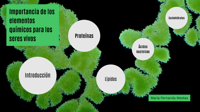 Importancia de los elementos químicos para los seres vivos by Fernanda