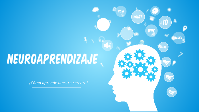 Neuroaprendizaje by Carlos avalos on Prezi