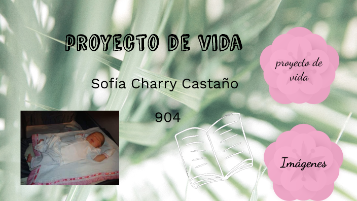 Mi proyecto de vida by SOFIA CHARRY CASTAÑO on Prezi