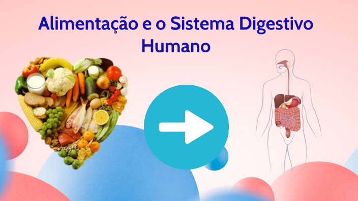 Alimentação e o Sistema Digestivo Humano by Vera Santos on Prezi