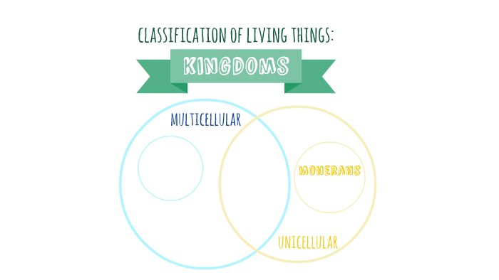 list three kingdoms used in the classification of living things