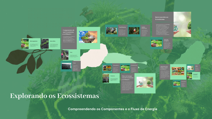 Explorando os Ecossistemas by Isabella Almeida Calvo on Prezi