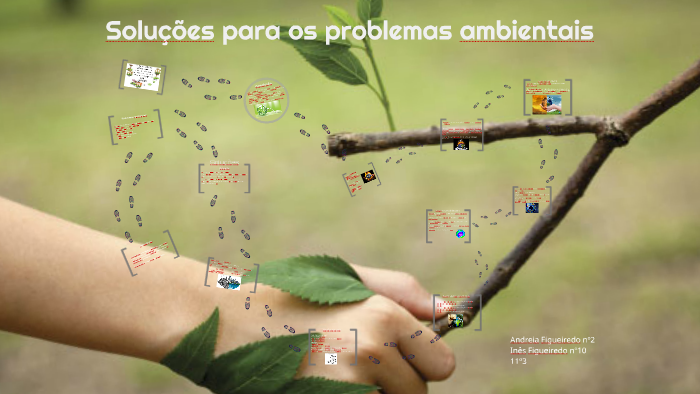 Soluções para os problemas ambientais by Andreia Figueiredo on Prezi