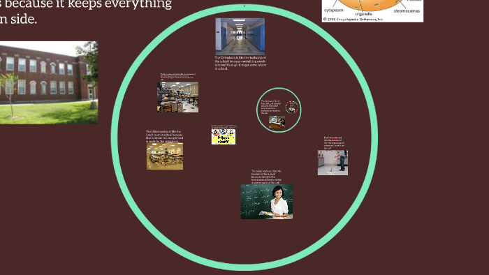 The Animal Cell by Marcus Harris on Prezi