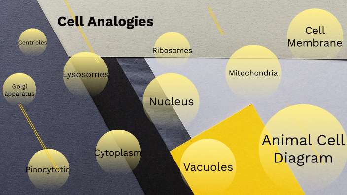 Cell Analogies Collage By Arjan Singh