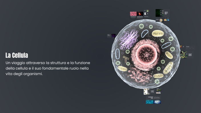La Cellula by GESSICA DELLE MONACHE on Prezi