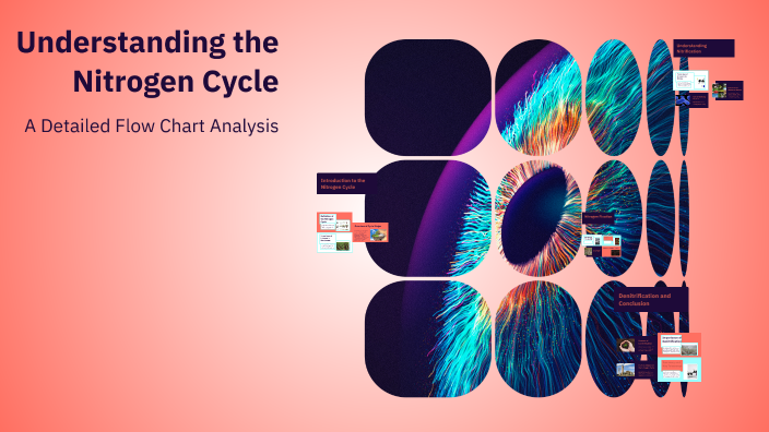 Understanding the Nitrogen Cycle by Kelly Reyes on Prezi