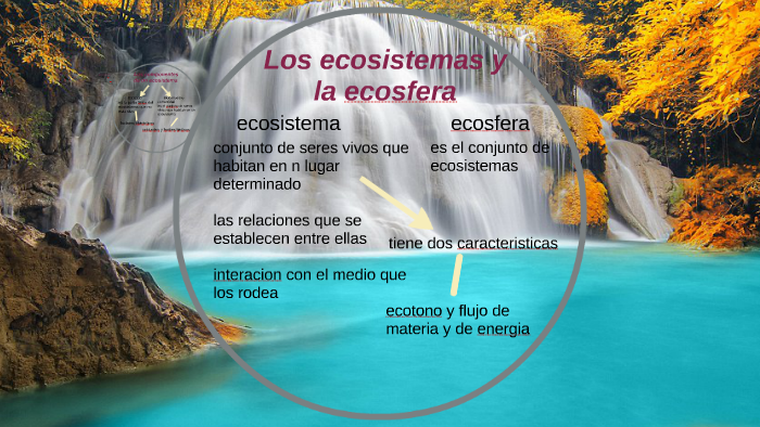 Los ecosistemas y la ecosfera by Nerea Oliva Lopez