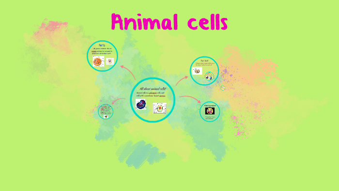 All about animal cells! by Delaney Brown on Prezi