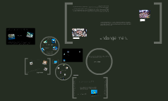 Hawksbill Sea Turtle by Hayley Cowitz on Prezi
