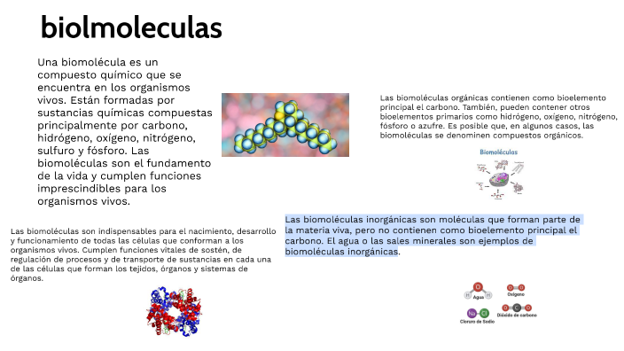 Biomoleculas By Esteban Sanchez On Prezi