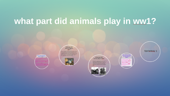 what part did animals play in ww1? by britney bak