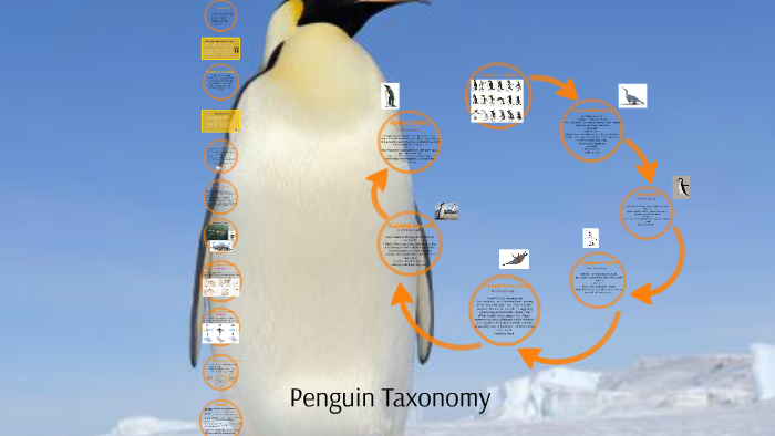 Penguin Taxonomy by Erik Svanes on Prezi