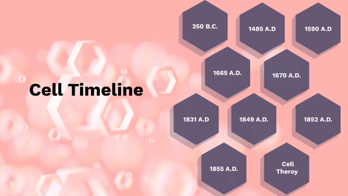 Cell Timeline By Ireland Espinal On Prezi