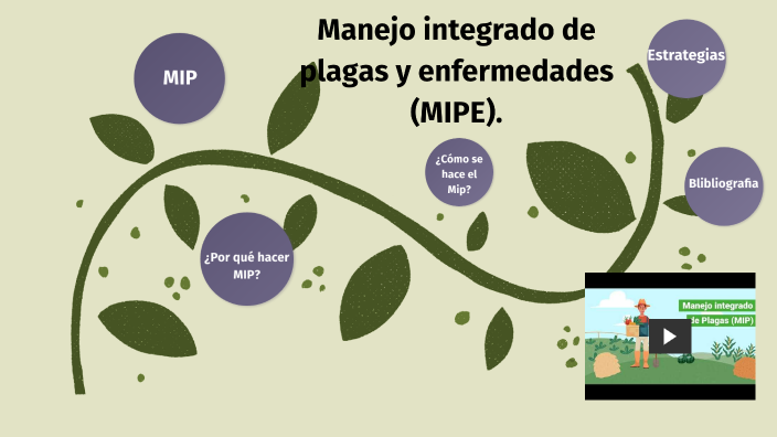 Manejo Integrado De Plagas (MIP) By Isabel Chávez On Prezi