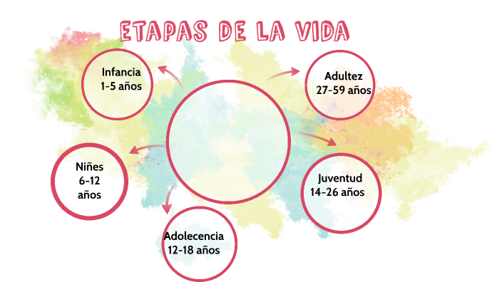 etapas de la vida by ORFILIA CHANTRE BUITRAGO on Prezi