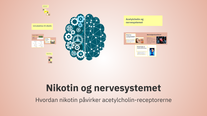 Nikotin Og Nervesystemet By Anne St r On Prezi nikotin-og-nervesystemet-by-anne-st-r-on-prezi