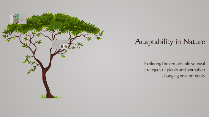 Adaptability in Nature by Hanajafar on Prezi