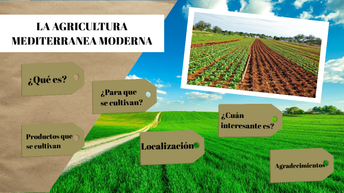 Agricultura Mediterránea Moderna By Dayanara Nicole Leon Carrión On Prezi