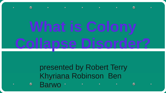 what-is-colony-collapse-disorder-by-k-robinson