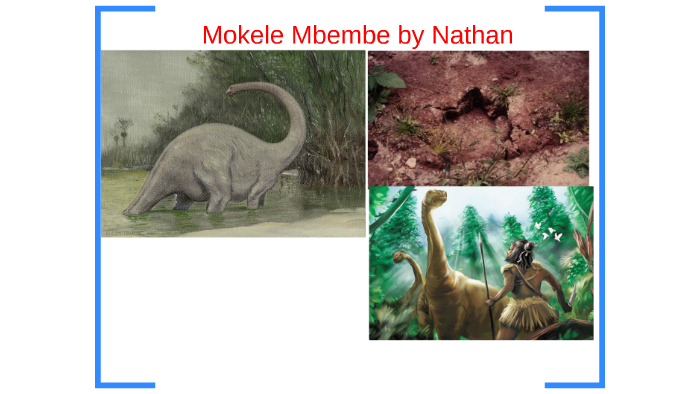 Mokele-mbembe – a dinosaur in Africa?