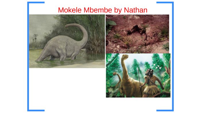 Is Mokele-Mbembe Really a Dinosaur?