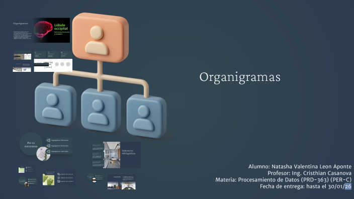 Presentación Organigrama by Alexis González on Prezi