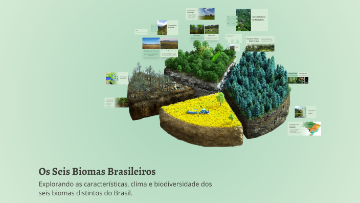Os Seis Biomas Brasileiros by Quétine Chaves on Prezi